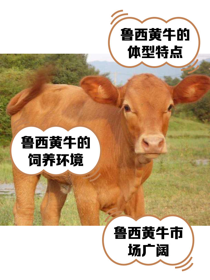 祁东最新医保取现黄牛方法分析(最方便真实的祁东医保取现黄牛怎么取方法)